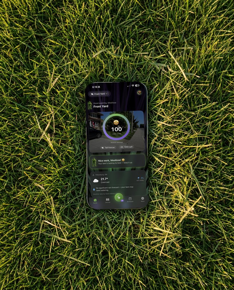 The Big Grass Guy app open on an iPhone lying on grass, showing a perfect 100 lawn score