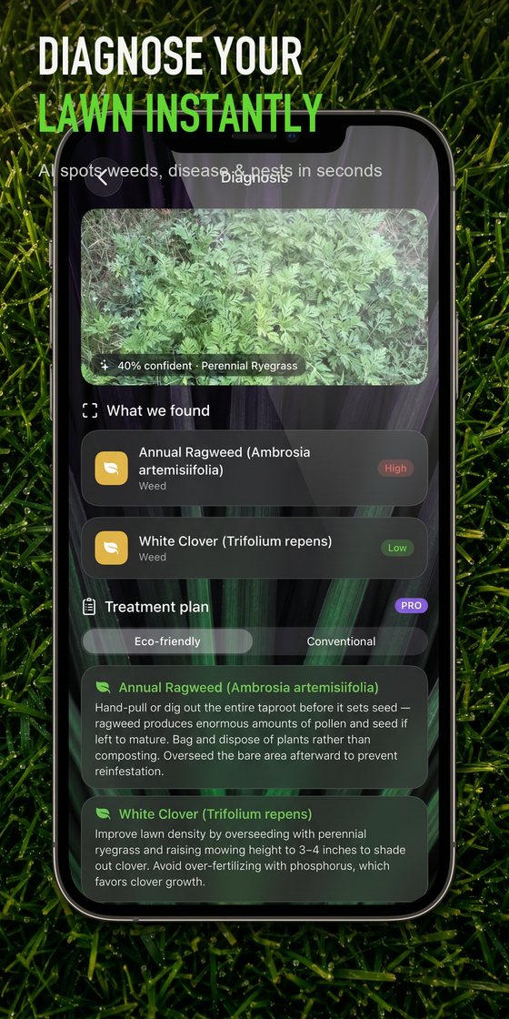Diagnose your lawn instantly — AI spots weeds, disease and pests in seconds